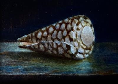 After Henk Rembrandt's Shell