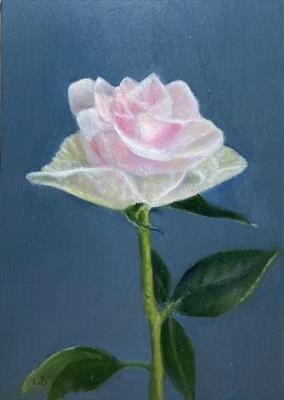 Single Rose