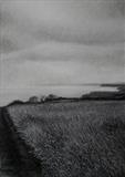 Coastal Path Near Cloughton by Linda Brill, Drawing, Charcoal on Paper