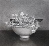 Hydrangea by Linda Brill, Drawing, Charcoal on Paper