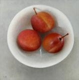 Plums in a Bowl by Linda Brill, Painting, Oil on canvas