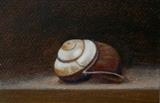 Shell 2 by Linda Brill, Painting, Oil on Paper